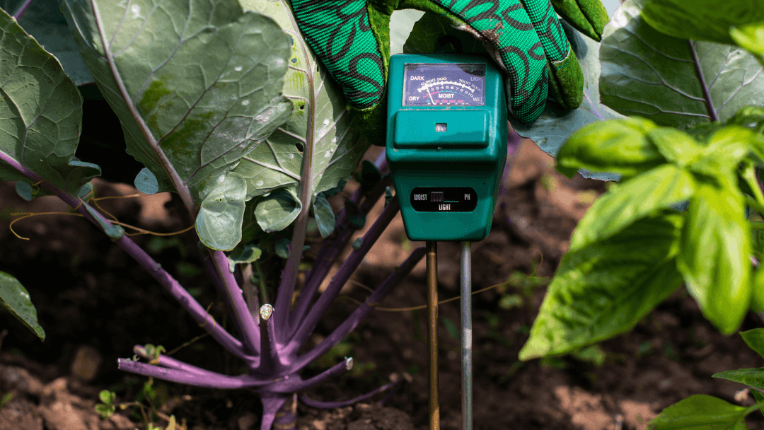 null | Yeti Environmental Consulting, LLC